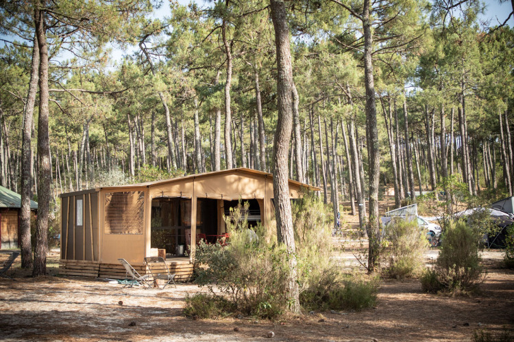 Een knusse hut tussen hoge dennen bij vakantiepark Huttopia Lac de Carcans in Nouvelle-Aquitaine, Frankrijk.