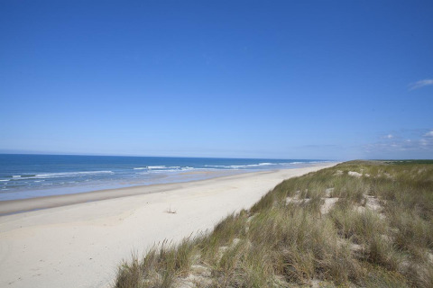 Ruhiger Sandstrand und Dünen am Meer bei Carcans, Nouvelle-Aquitaine, Frankreich, unter blauem Himmel.