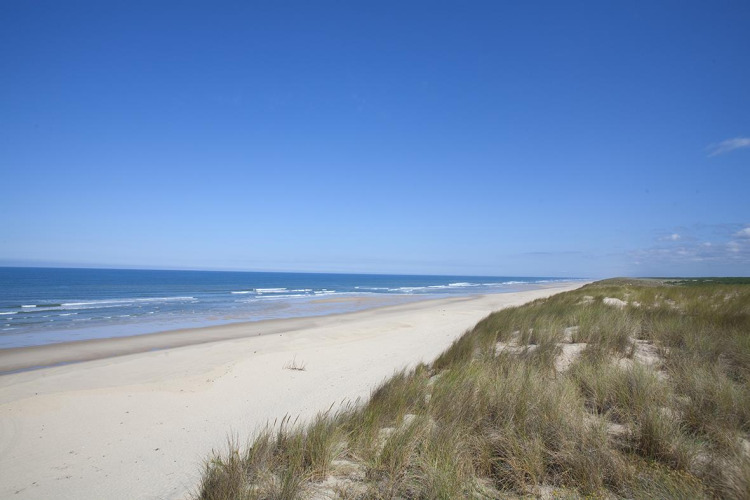 Ruhiger Sandstrand und Dünen am Meer bei Carcans, Nouvelle-Aquitaine, Frankreich, unter blauem Himmel.