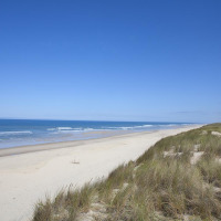 Ruhiger Sandstrand und Dünen am Meer bei Carcans, Nouvelle-Aquitaine, Frankreich, unter blauem Himmel.
