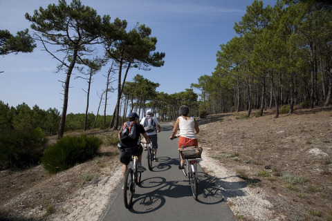 Three people are cycling along a forest path near Carcans, Nouvelle-Aquitaine, France, on a sunny day.