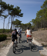Drei Radfahrer fahren an einem sonnigen Tag durch einen Waldweg bei Carcans, Nouvelle-Aquitaine, Frankreich.