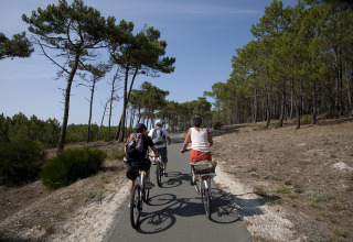 Trois personnes font du vélo sur un chemin forestier près de Carcans, Nouvelle-Aquitaine, France, un jour ensoleillé.