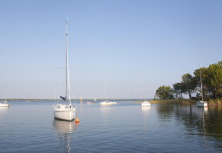 Sejlbåde fortøjet i roligt vand nær Carcans, Nouvelle-Aquitaine, Frankrig, med træer i baggrunden.
