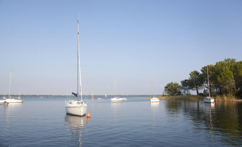 Barche a vela ancorate in acque tranquille vicino a Carcans, Nouvelle-Aquitaine, Francia, alberi vicini.