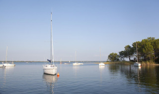 Segelboote ankern im ruhigen Wasser nahe Carcans, Nouvelle-Aquitaine, Frankreich, Bäume am Ufer sichtbar.