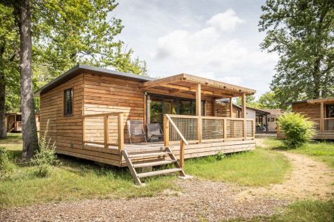 Houten chalet genaamd Chalet Portland met veranda, gelegen in zonnig bosgebied omringd door bomen en gras.