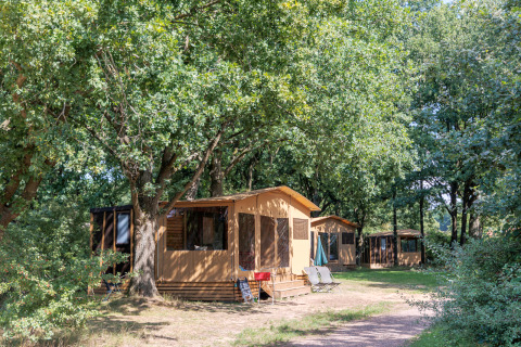 Safari tent Arizona on a wooded campsite, surrounded by lush green trees and outdoor relaxation chairs.