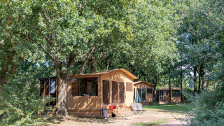 Das Safarizelt Arizona auf einem bewaldeten Campingplatz, umgeben von grünen Bäumen und Stühlen.