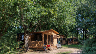 Tienda safari Arizona en un camping arbolado, rodeada de árboles verdes y sillas para relajarse afuera.
