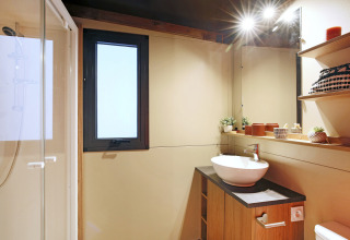 Baño moderno en la tienda safari Arizona con ducha, lavabo, ventana y estantes decorativos con plantas.