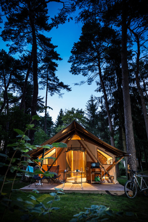 Tienda Trappeur iluminada en Huttopia Baie du Mont St Michel, Francia, rodeada de altos pinos y naturaleza.