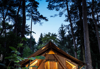 Illuminated Trappeur tent at Huttopia Baie du Mont St Michel, France, surrounded by tall pine trees.