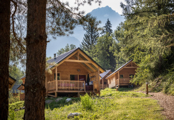 Træhytter ved Chalet Montana omgivet af skov og bjerge, fredelig naturferie i alperne om sommeren.