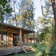 Chalet Ottawa, en moderne træhytte omgivet af tæt skov, sollys filtreret gennem høje træer.