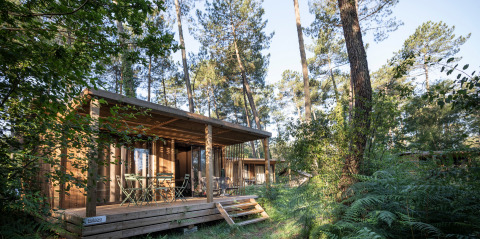 Chalet Ottawa, eine moderne Holzhütte inmitten dichter Wälder und Sonnenlicht zwischen den Bäumen.