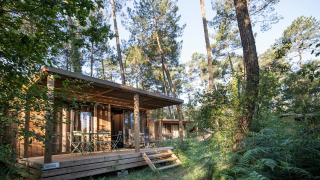 Chalet Ottawa, eine moderne Holzhütte inmitten dichter Wälder und Sonnenlicht zwischen den Bäumen.