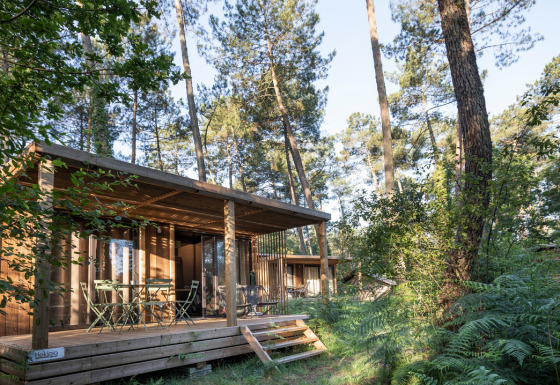 Chalet Ottawa, eine moderne Holzhütte inmitten dichter Wälder und Sonnenlicht zwischen den Bäumen.