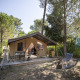Tienda safari Toile&Bois Sweet en camping forestal, con terraza, sillas exteriores y sombrilla verde.