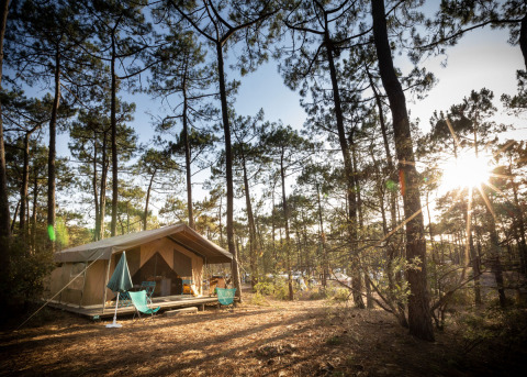 Tienda de safari Toile&Bois tent Sweet en un bosque de pinos, sol al atardecer, con sillas fuera.