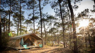 Tienda de safari Toile&Bois tent Sweet en un bosque de pinos, sol al atardecer, con sillas fuera.
