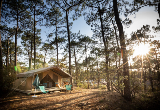Tenda safari Toile&Bois tent Sweet in una pineta al tramonto, con veranda e sedie da campeggio.