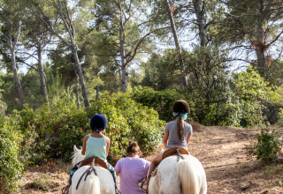 Two children ride white horses on a forest path near Fontvieille, France, guided by an adult walking beside them.