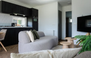 Moderne lodge-opholdsstue med sofistikeret gråt interiør, tekøkken, tv og grønne planter i Holland.