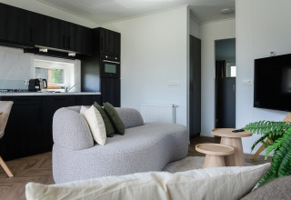 Eigentijdse lodge zithoek met grijze sofa, keukenhoek, televisie en planten in een park in Nederland.