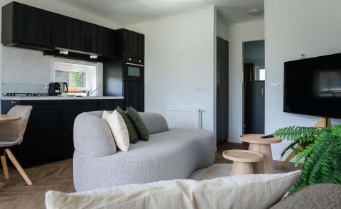 Soggiorno di lodge moderno con divano grigio, angolo cucina, TV e piante in un parco vacanze olandese.