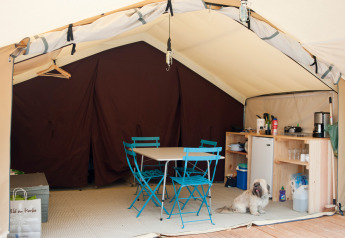 Intérieur d'une tente safari avec des chaises bleues, une table, un coin cuisine et un petit chien.