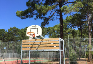 Outdoor basketball hoop and goal at Huttopia Lac de Carcans, France, surrounded by pine trees and blue sky.