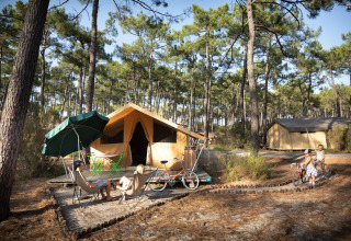 Tente safari Toile&bois Classic à Huttopia Lac de Carcans, France, entourée de pins et vélos de camping.
