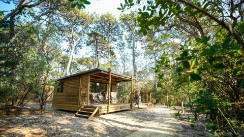 En træhytte kaldet Chalet Victoria i skovmiljø hos Huttopia Gorges du Verdon, Frankrig, omgivet af træer.