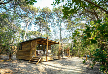En træhytte kaldet Chalet Victoria i skovmiljø hos Huttopia Gorges du Verdon, Frankrig, omgivet af træer.