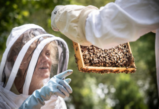 Two people in beekeeping suits examine a beehive frame at Camping de Paris, Île de France, France.