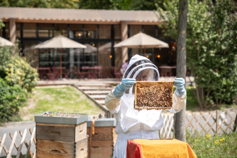 Apicultor con traje protector revisa un panal de abejas en Camping de Paris, Île de France, Francia.