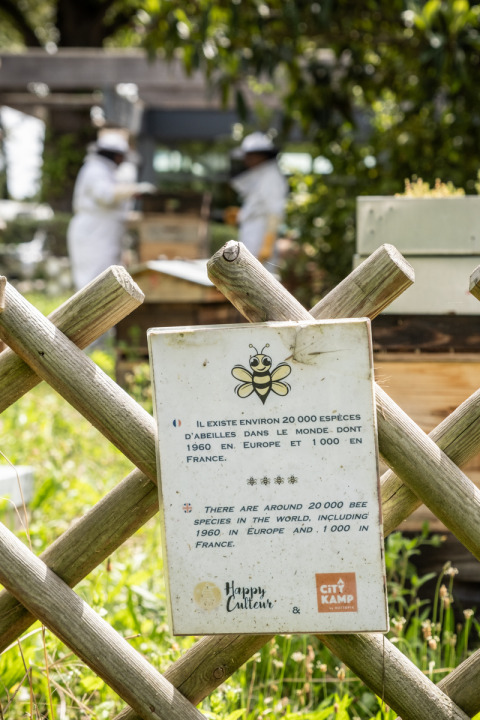 Cartel informativo sobre especies de abejas en Camping de Paris, Île de France, con apicultores al fondo.