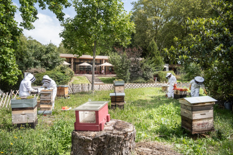 Imkers in beschermpakken werken aan bijenkasten in Camping de Paris, Île de France, Frankrijk.
