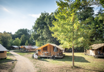 Foto de un campamento safari Bungalow tent Classic rodeado de árboles y luz solar en una zona verde.