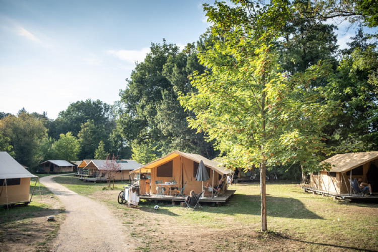 Foto vom Safari-Zeltplatz Bungalow tent Classic, umgeben von Bäumen und Sonnenlicht in der Natur.