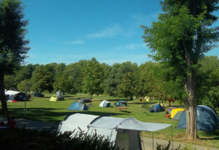 Tenten verspreid over het gras bij Camping de l'Ill - Colmar, een vakantiepark in het Franse Grand Est.
