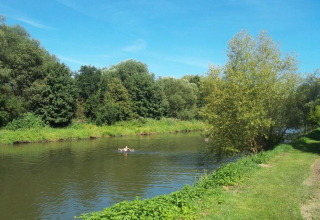 Zonnige dag aan de rivier op Camping de l'Ill - Colmar, Frankrijk, met zwemmer en groene bomen.