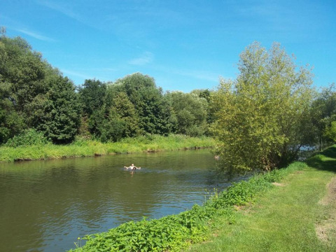 Journée ensoleillée à la rivière du Camping de l'Ill - Colmar, France, avec un nageur et arbres verts.