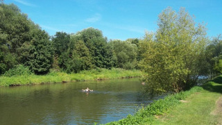 Día soleado en el río de Camping de l'Ill - Colmar, Francia, con nadador y árboles verdes alrededor.