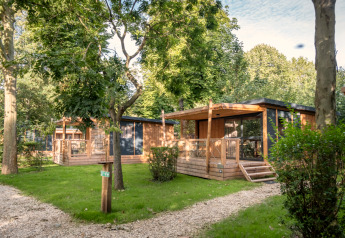 Træhytter i skovområde med grønne træer og græs, set ved Chalet Evasion på en solrig dag