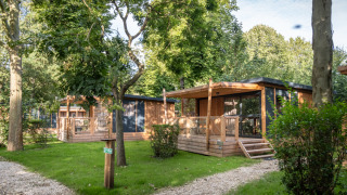 Træhytter i skovområde med grønne træer og græs, set ved Chalet Evasion på en solrig dag