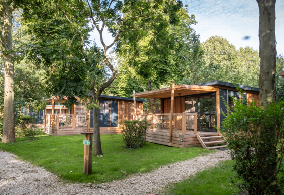 Cabañas de madera modernas con terrazas entre árboles y césped verde, imagen de Chalet Evasion