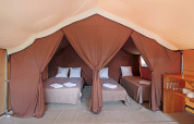 Interior de una tienda safari Bungalow tent Classic con tres camas individuales, almohadas y estantería.