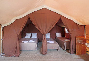 Interieur van een Safari Bungalow tent Classic met drie enkele bedden, kussens, handdoeken en houten plank.